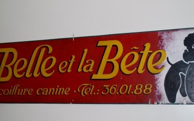 Insegna negozio-Francia 1950 smalto su metallo dipinto a mano cm 155 x 36